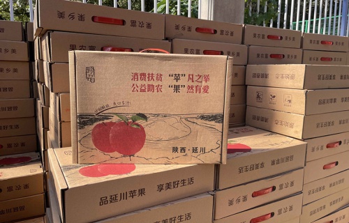 雨燕直播“扶贫助农，振兴乡村”活动